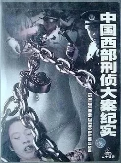 中国西部刑侦大案纪实（2001）20集  国语中字最敢拍的刑侦纪录片